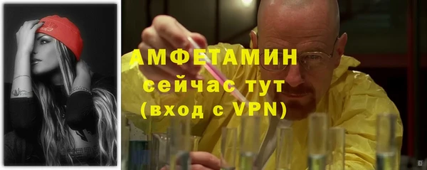 сатива Михайловка