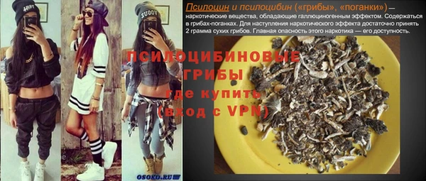 spice Анжеро-Судженск