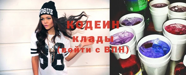хмурый Михайловск